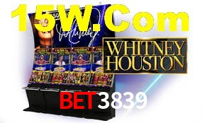 Roulette Table Bet3839